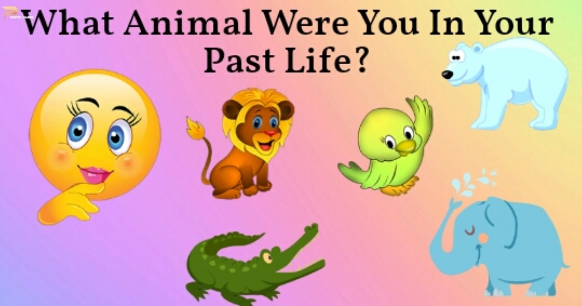What animal were you in your past life ? | Kevera