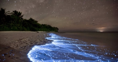 7 Amazing Things You Won’t Believe Actually Exist In Nature