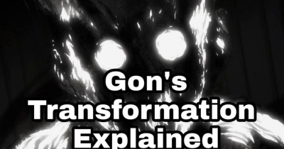 Gon"s Transformation Explained!