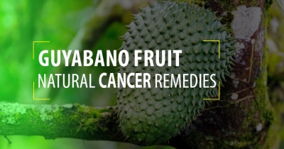 Guyabano Fruit – Natural cancer remedies