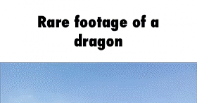 Rare Footage of a Dragon