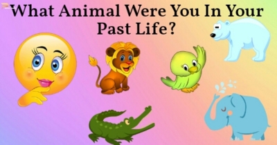 What animal were you in your past life ?
